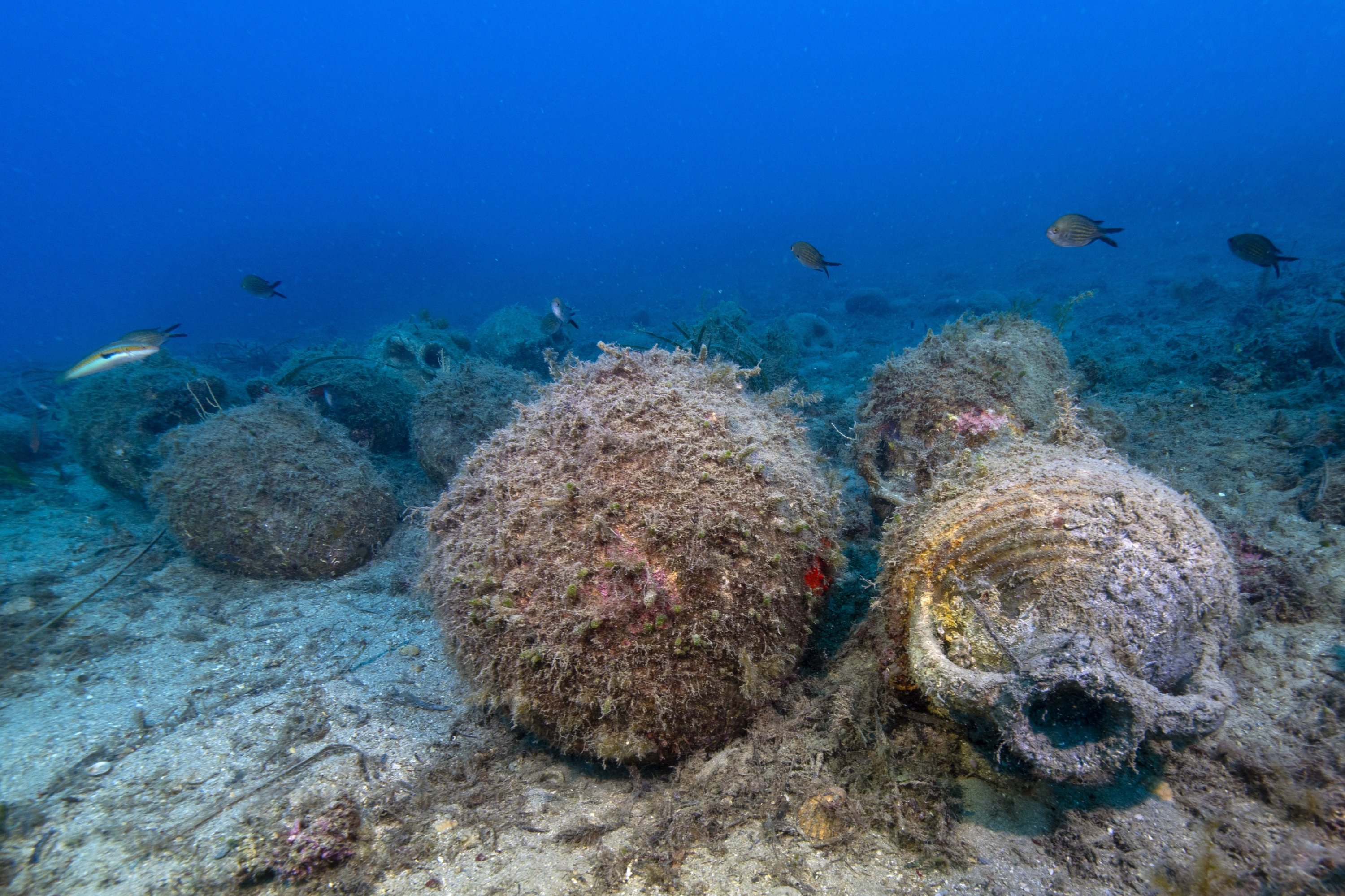 Ancient Byzantine amphorae emerge off Türkiye’s Ayvalık coast