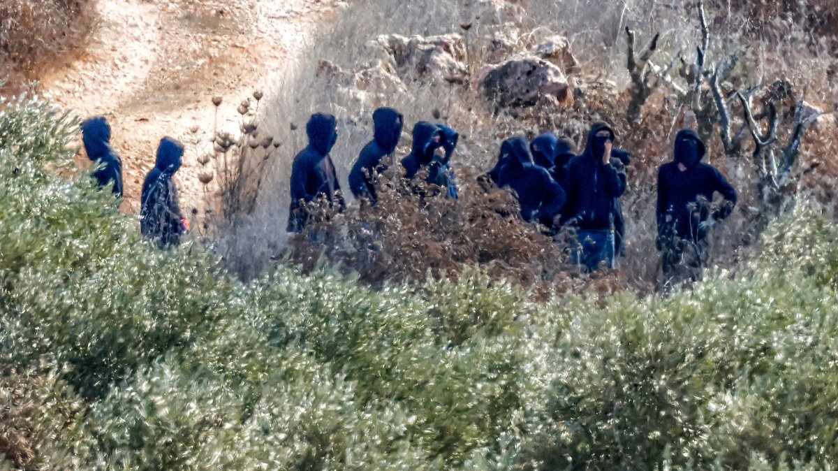Israeli terrorist settlers are seen near Palestinian farmers as they pick olives in Turmus Ayya, northeast of Ramallah in the Israeli-occupied West Bank, Palestine, Oct. 20, 2026. (AFP Photo)
