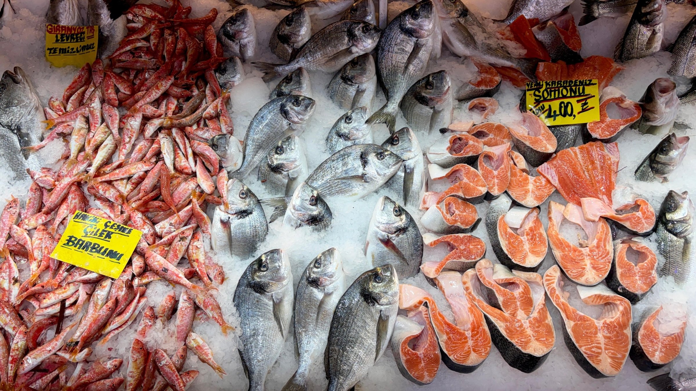 Fish for sale in Izmir, western Türkiye, Oct. 19, 2026. (IHA Photo)