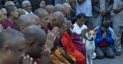  Bhikkhu Pannakara, accompanied by Aloka, known as the 'Peace Dog,' attends a condolence prayer meeting for victims of the Bhotekoshi flash floods in Kathmandu, Nepal, Oct. 8, 2026. (EPA File Photo)