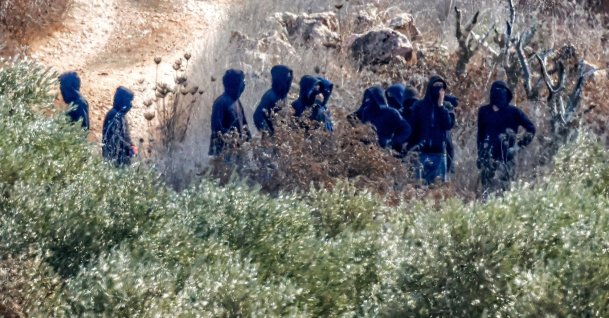Israeli terrorist settlers are seen near Palestinian farmers as they pick olives in Turmus Ayya, northeast of Ramallah in the Israeli-occupied West Bank, Palestine, Oct. 20, 2026. (AFP Photo)