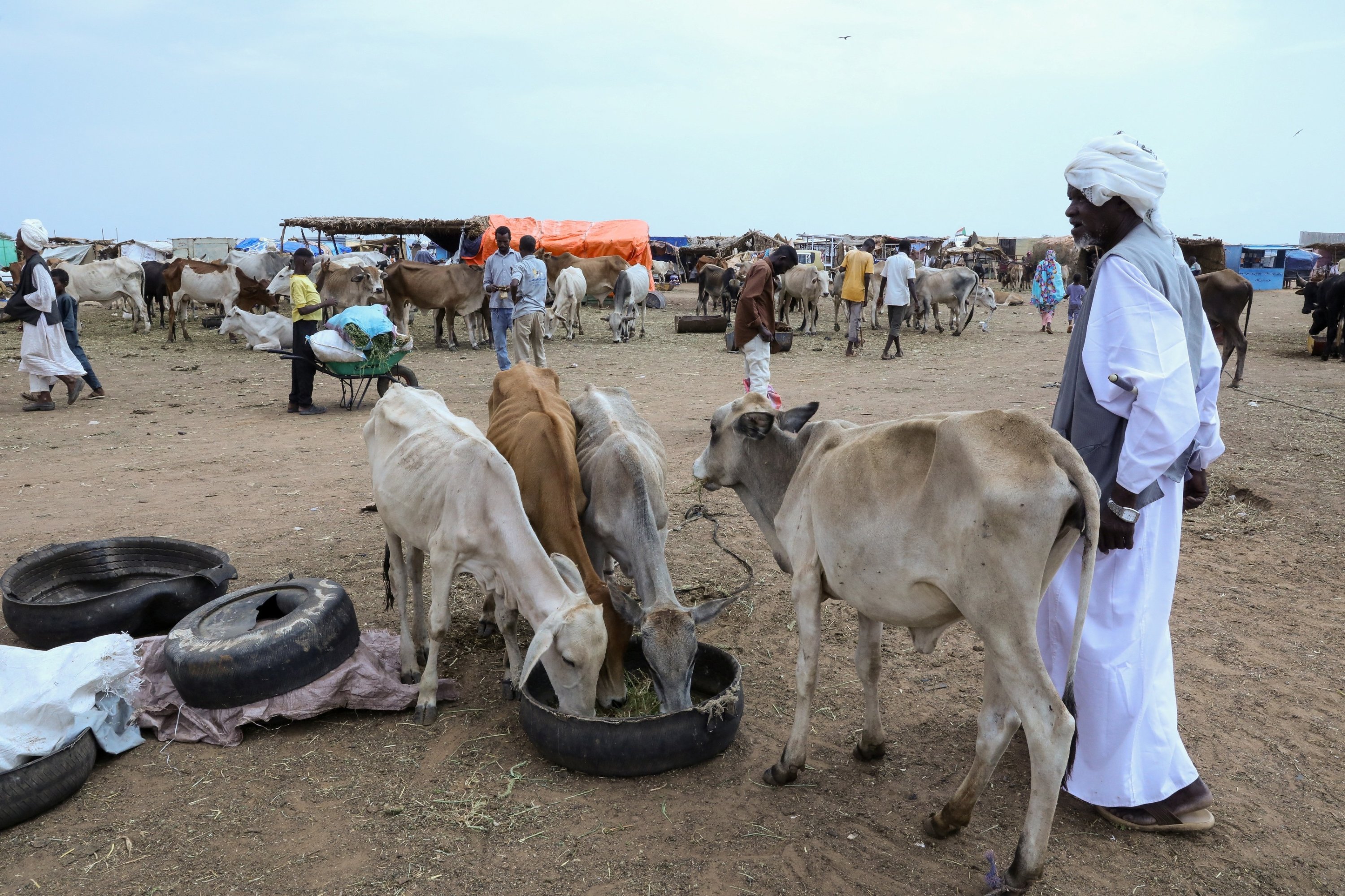War-ravaged Sudan on brink as El Nino fans new flames of hunger