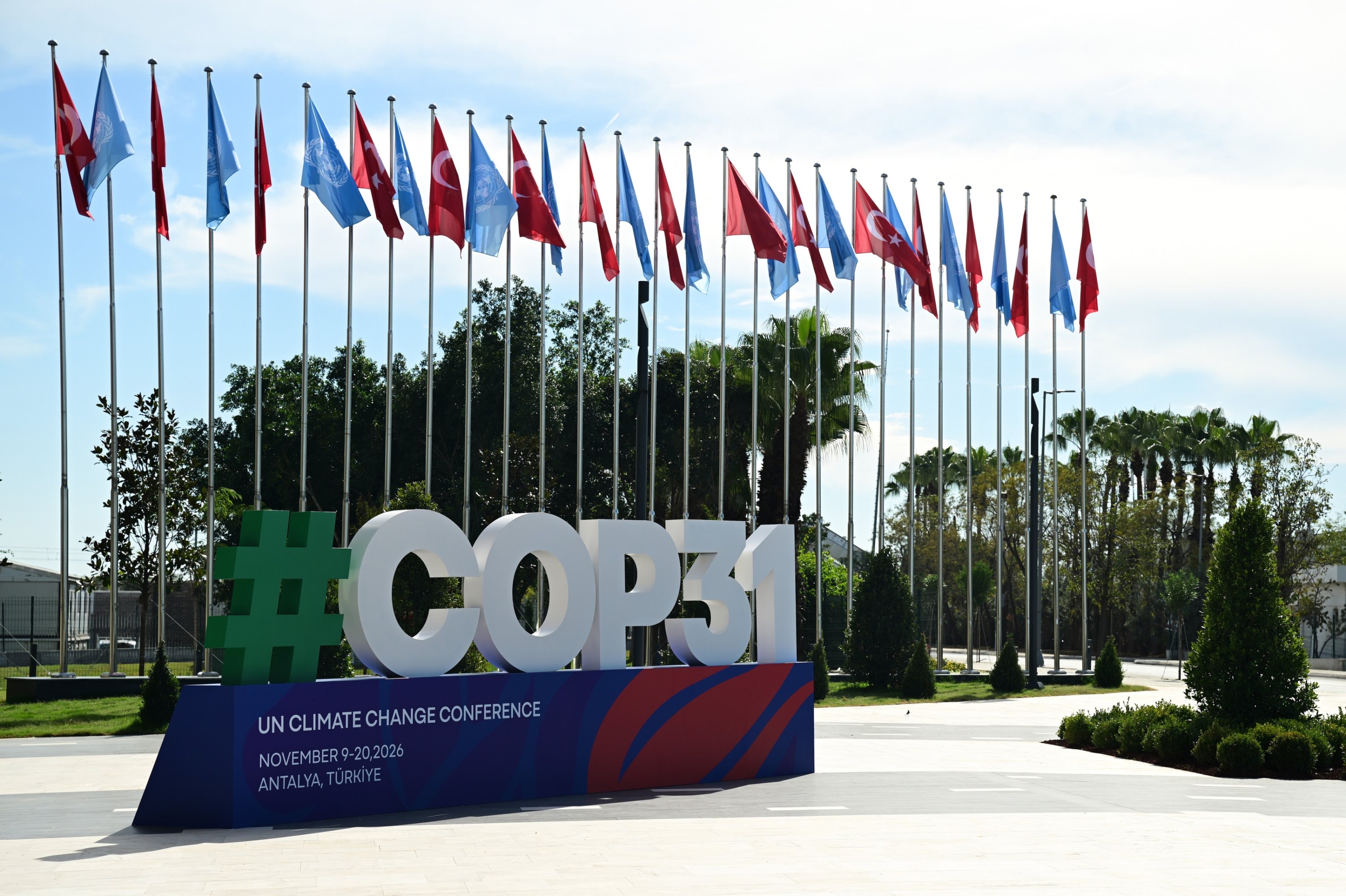 IEA chief stresses 35% electricity pledge as important goal of COP31