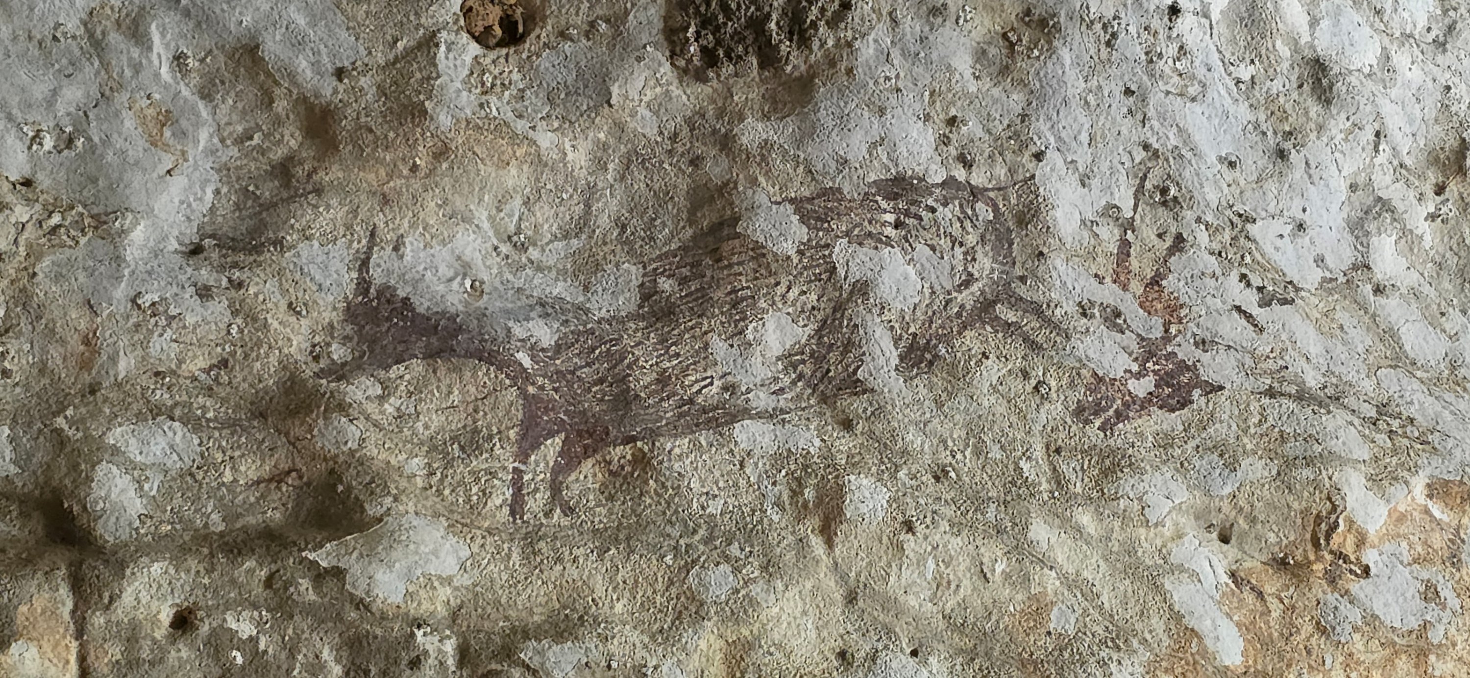 Wildfires threaten world's oldest cave paintings in Indonesia
