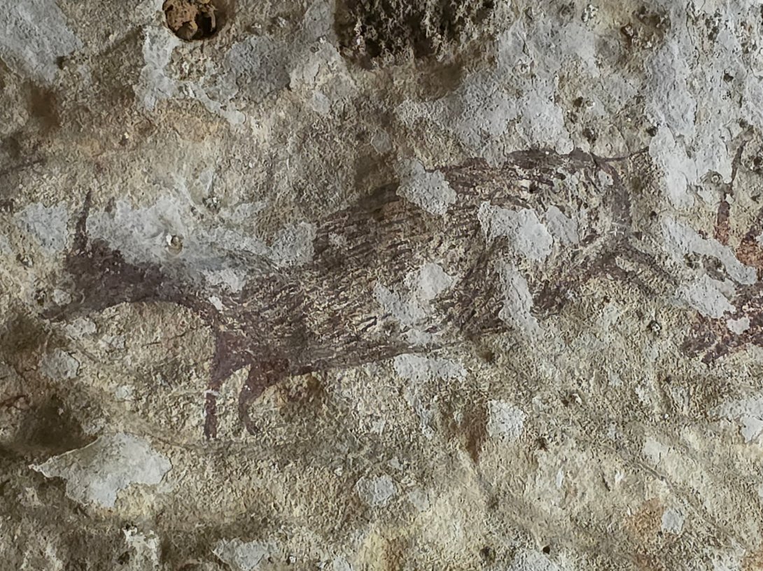 A rock painting depicting a pig at a cave in Maros-Pangkep, South Sulawesi province, Indonesia, Oct. 12, 2026. (Reuters Photo)