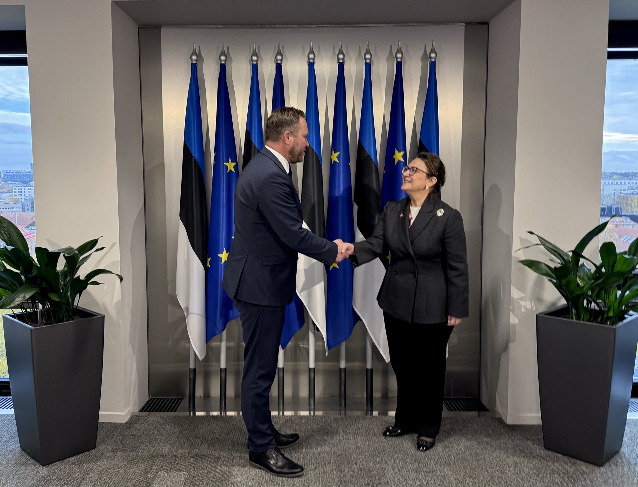 Estonian FM hails Türkiye's contribution to Baltic defense