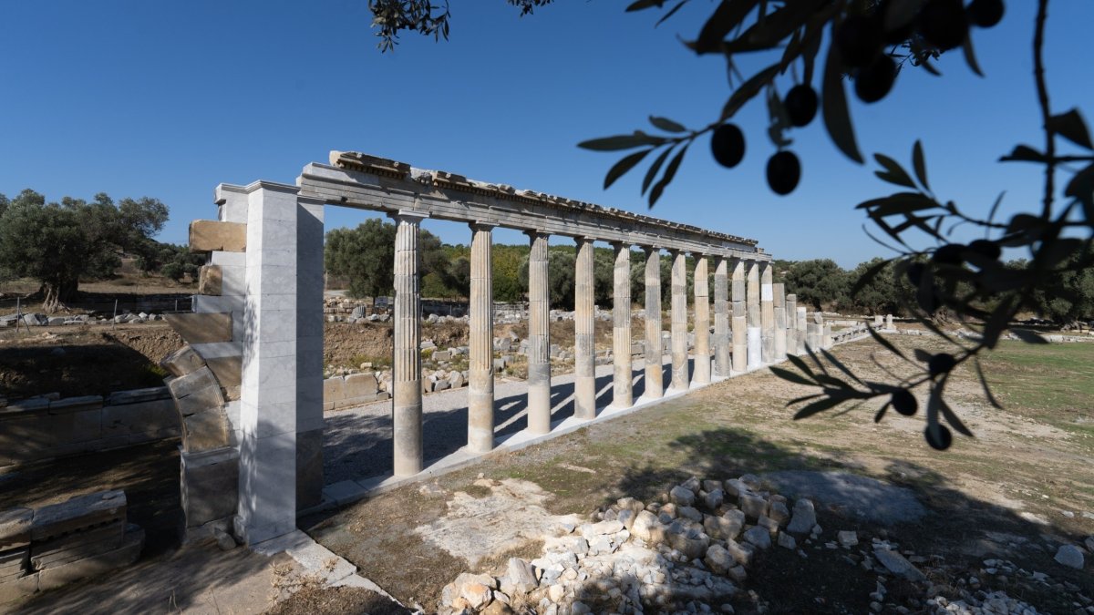 Ancient columns stand among the ruins of the ancient city of Teos in Seferihisar, Izmir, Türkiye, Oct. 27, 2026. (IHA Photo)